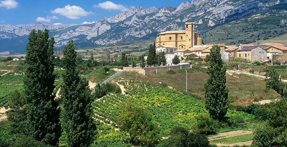 View of vine covered hills, Samaniego, Rioja, Alavesa, Spain